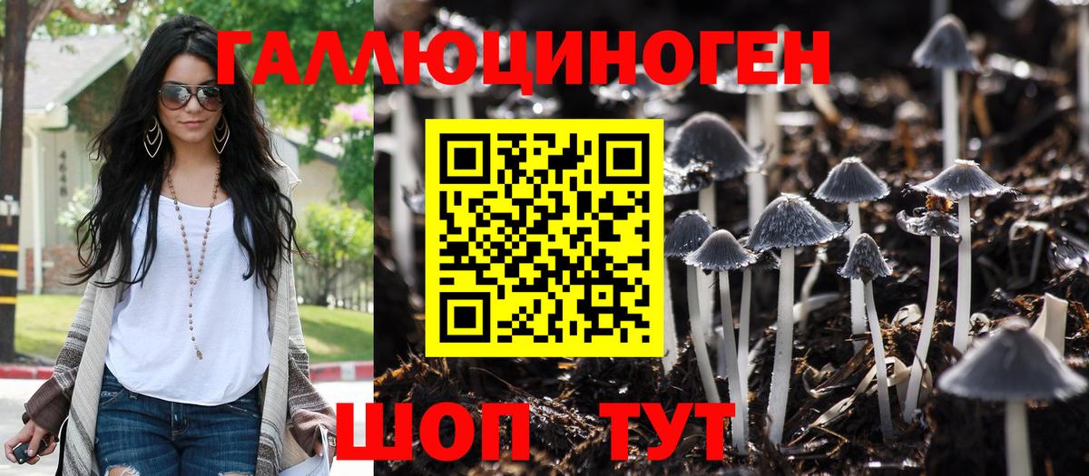 Псилоцибиновые грибы мицелий  Вход с VPN  Канск  Галлюциногенные грибы MAGIC MUSHROOMS 