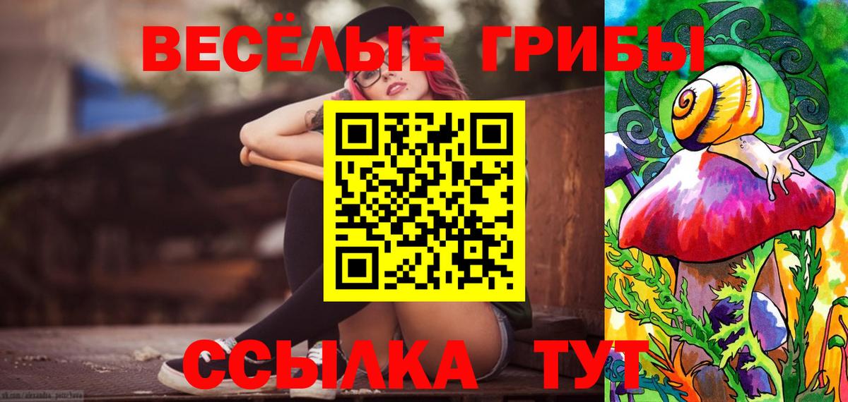 Галлюциногенные грибы прущие грибы Канск